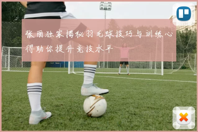 张丽独家揭秘羽毛球技巧与训练心得助你提升竞技水平