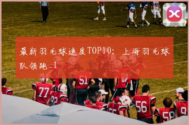 最新羽毛球速度TOP10：上海羽毛球队领跑_1