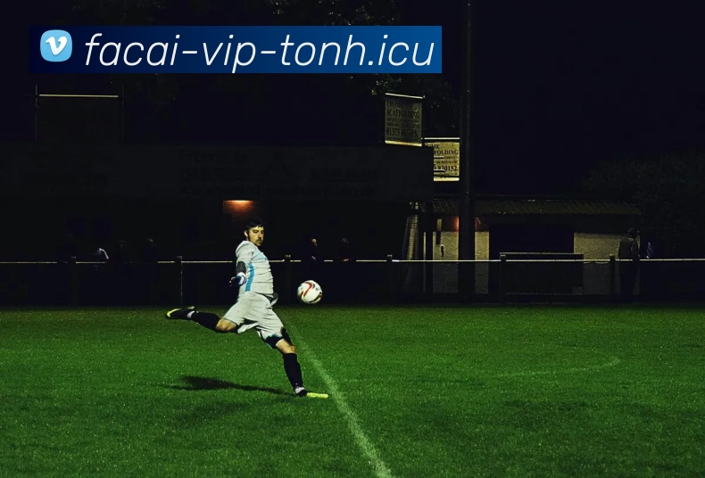 九游体育APP 封面图